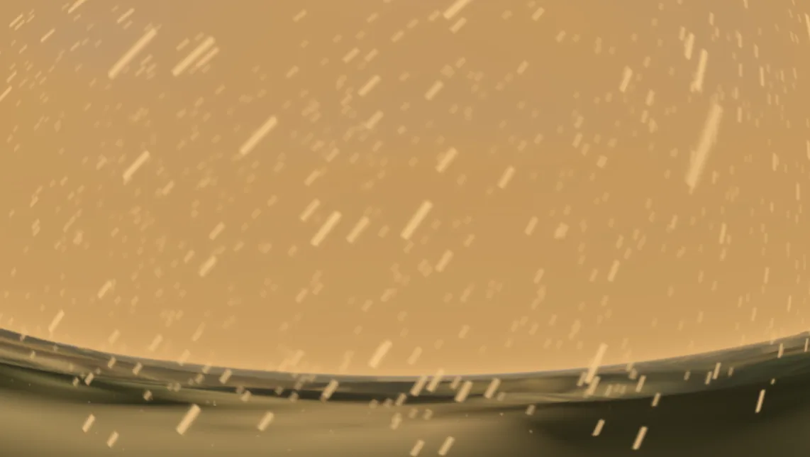 Rain and wind of the day, read from the weather records.